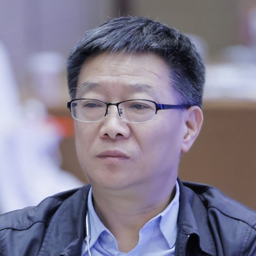Photo of Maia Chankseliani, PhD